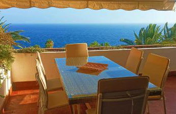 marazul del sur - Foto 1