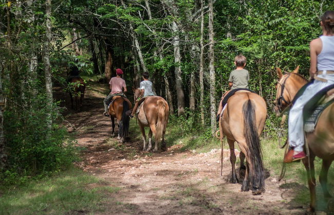 Palacio Santa Candida - Photo 38
