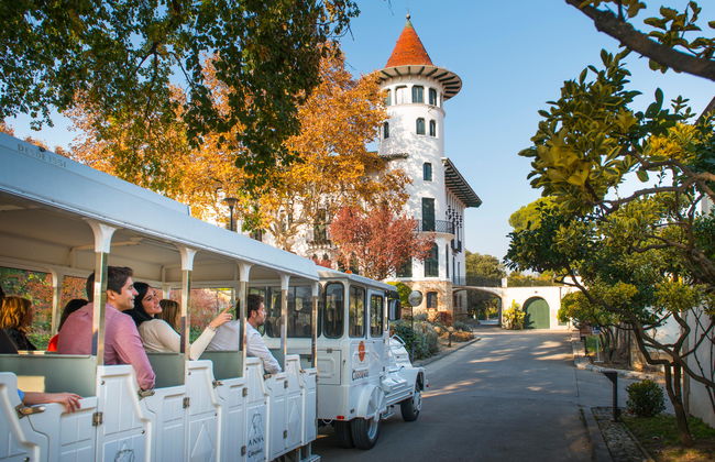Bodegas Codorníu - Guided Tours - Photo 6