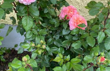 Appartementhof Stadler - Foto 26