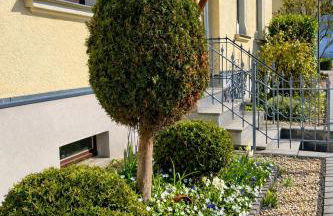 außergewöhnliches Apartment - nur 15 min bis Dresden - Foto 3