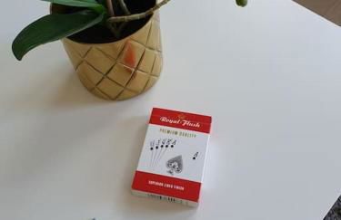 The Tiny Sea Gem - Foto 24