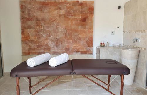 Suite de l'olivier au sein du Mas au Coeur de la Provence&SPA - Foto 22
