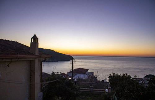 Rita's Paradise - Photo 24