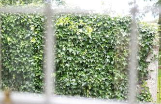 Auldhame House East Wing, Seacliff - Foto 10