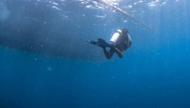 Plongée à Moalboal