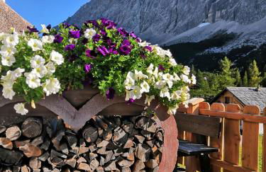 Ferienhaus Berger mit eigenen Whirlpool im Garten - Foto 14