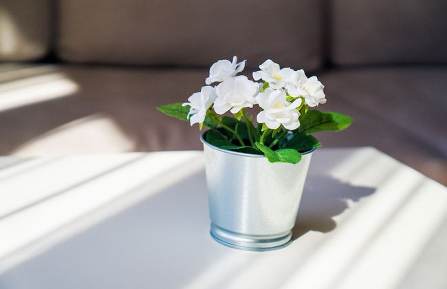 Sofia Central Luxury Apartment - Foto 27