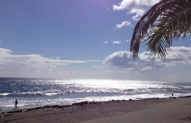 Nueva Suecia CR715 - Foto 37