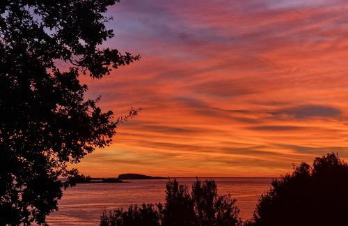 Summerhouse Liber - Foto 38