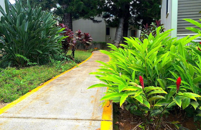 Makai Club Vacation Resort by Resort Stay - Foto 51