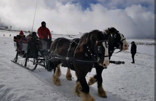 Casa de Férias - Foto 29