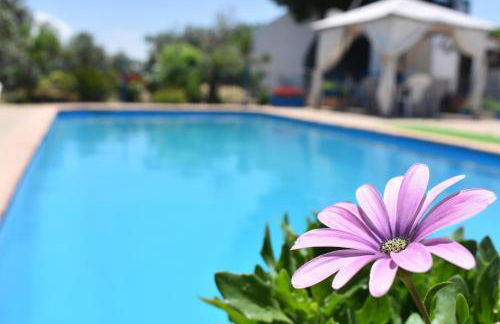 Alojamientos Rurales la Loma - Foto 58