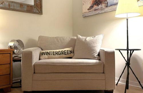 Mountain Inn Lodge 86 with Wintergreen Advantage - Foto 17