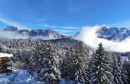 Bel appart pour 4/6 pers plein SUD sans vis a vis - Foto 21