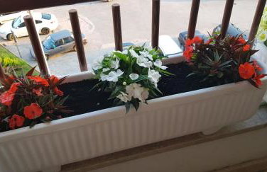 Apartman "Lara" - Foto 13