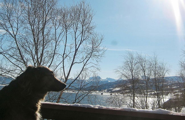 6 Person Holiday Home in Hamnvik - Foto 30