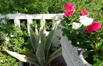 B&B Hestia's Hideaway - Foto 21