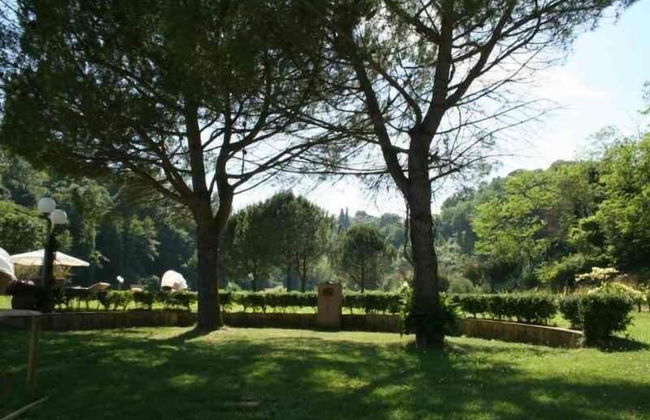 Agriturismo Podere Bucine Basso - Foto 50