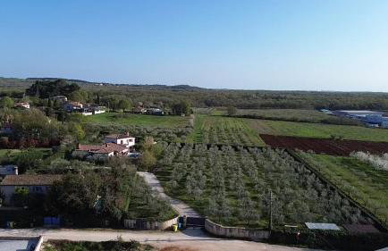 Villa Anso - Photo 29