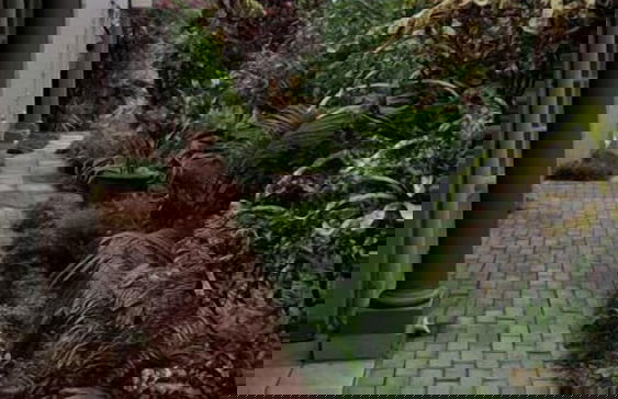 Villa Med 10 - Foto 20