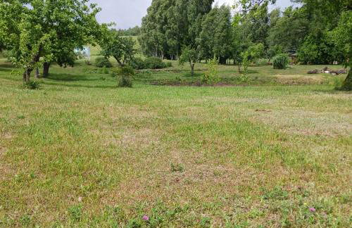 Agroturystyka Pod Dębem - Foto 43