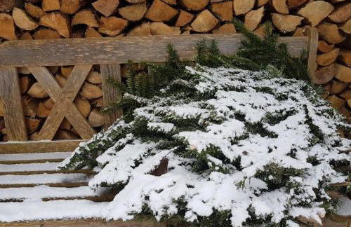 Ferienwohnung 1880 - Foto 44