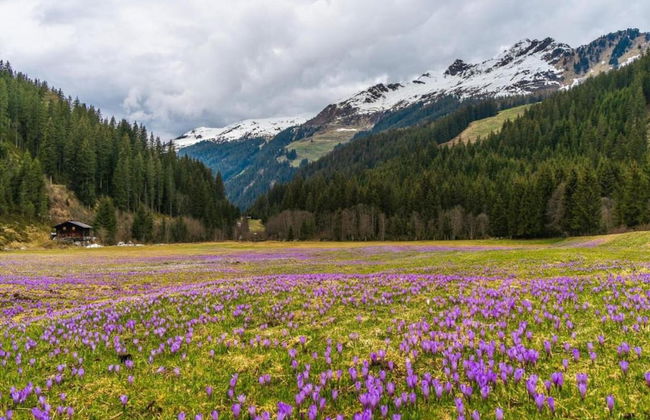 Superior Chalet mit 4 Schlafzimmern & Wellness - Foto 36