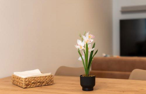 Appartamento incantevole fronte mare 1-2-3B - Foto 11