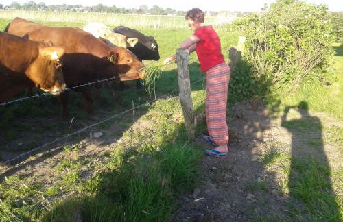 Best of Kollmar - Apartment mit Terrasse für 2 Personen absolut ruhig - Foto 9