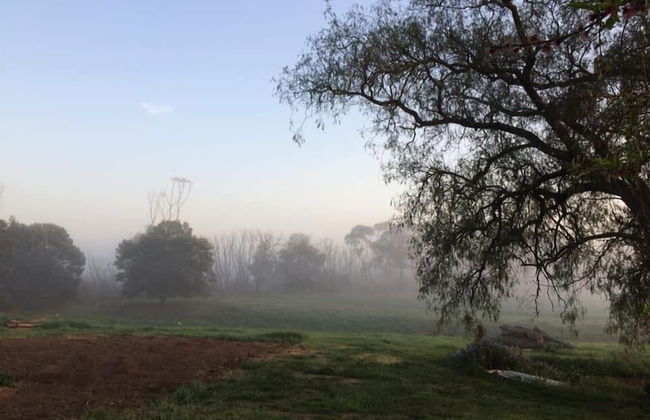 Abington Farm - Foto 48