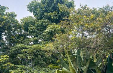 Fica Aki - Hospedagem Alta Floresta - Photo 19