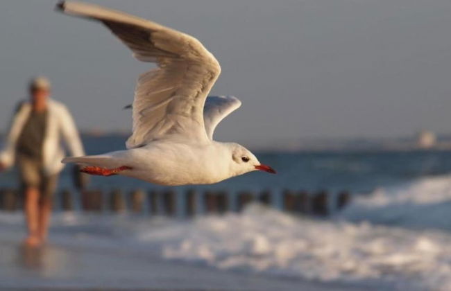 Luxury Villa, 2 Baths, nr Beach - Photo 14