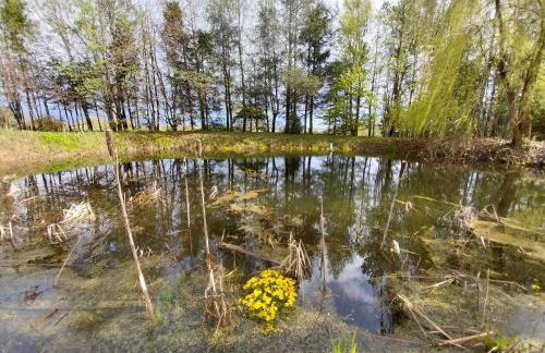 Wyciszek - mazurska agroturystyka - Foto 66