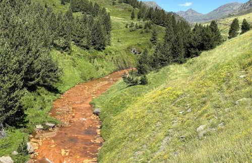 DUPLEX con encanto en Bagergue y guarda esquíes - Foto 19