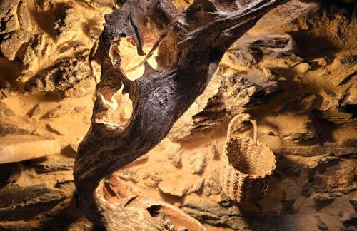 Cardenha das Formiguinhas - Foto 11