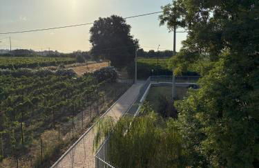 La casa di Nana' 1 - Foto 63