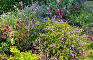 Large private home with small lake and garden - Photo 15