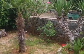 Apartmani Škrnjug - Photo 19