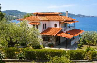 Blue Dandelion - Photo 1