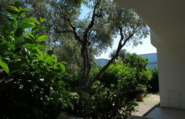 Ferienwohnung "ulivo" mit Pool und Privatstrand -1 - Foto 73