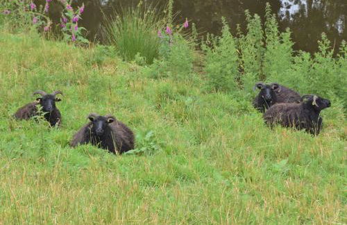 2 Bed in Stoke Abbott 50884 - Photo 20
