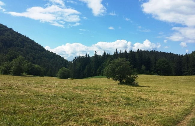 Ski-Lake Cottage Nízke Tatry - Foto 33