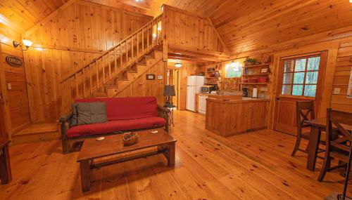 Cherokee Ridge Cabin Near The Ocoee River - Foto 5