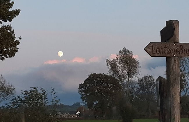 Beautiful Charming Wooden House - Foto 40