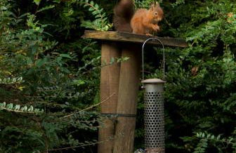 Lapwing, Skylark & Curlew Seaside Chalets - Foto 28