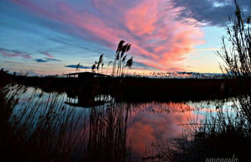 Tuscany House of Artist - Foto 35