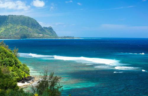 Kahu 'lo - Guardian Hawk - Foto 19