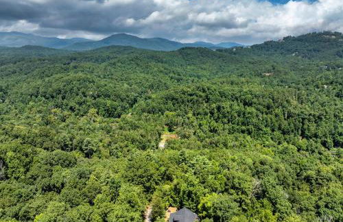 The Holiday Cabin at Lake Lure - Photo 61