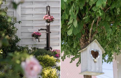 Baltiq Spot Rewa - Foto 39